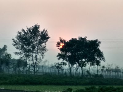 Photos of Upazilla Dak Banglo