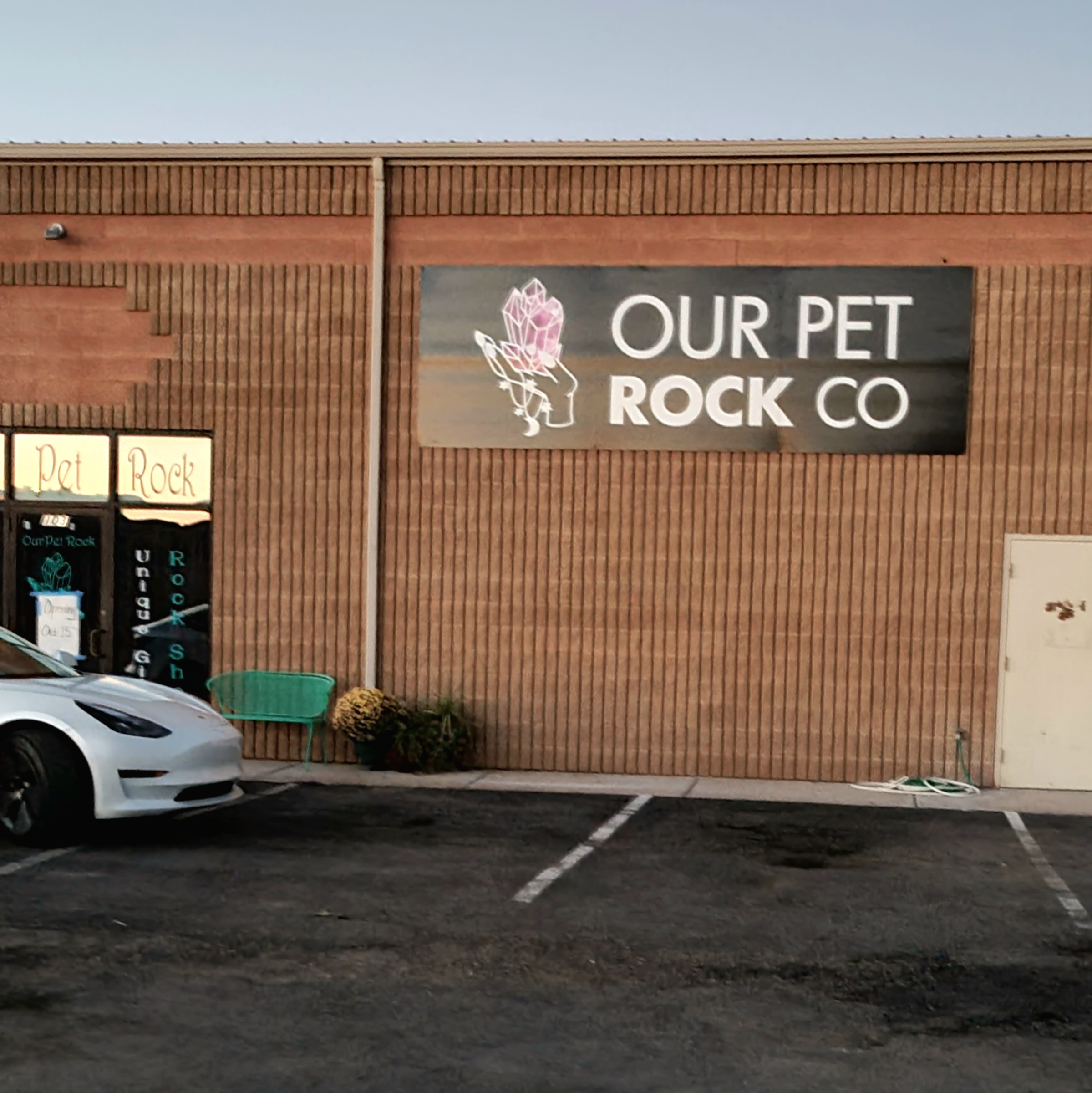 Our Pet Rock & Metaphysical Shop