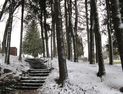 St Bonaventure Cemetery - Thumbnail