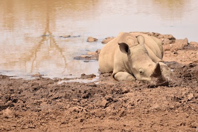 Photos of Kenya Tours & Safaris