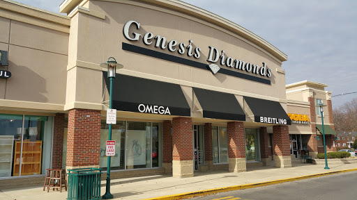 Genesis Diamonds - Visual