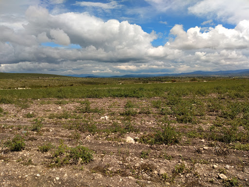 La Barranca Blanca - Thumbnail