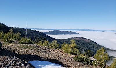 Courgar lookout