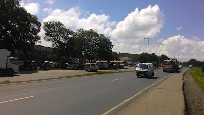 Photos of Tuskys Hyrax