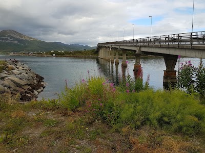 Photos of Elkj&oslash;p Stokmarknes