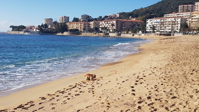 Plage trottel