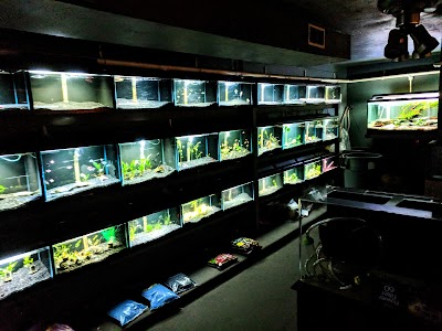 Syracuse Aquarium & Pond Supply