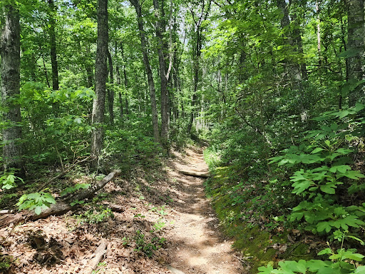 Indian Gap Rocks - Thumbnail