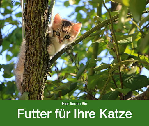 Petra Böhm - FutterinsHaus.de - BARF-Onlineshop - Frostfutter für Tiere - Thumbnail