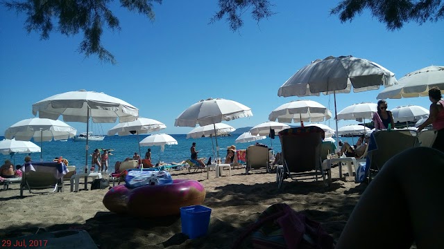 Terra Mare