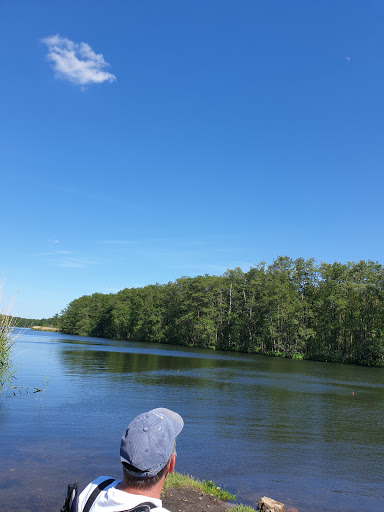 Peenetal von Jarmen bis Anklam Nature Reserve - Thumbnail