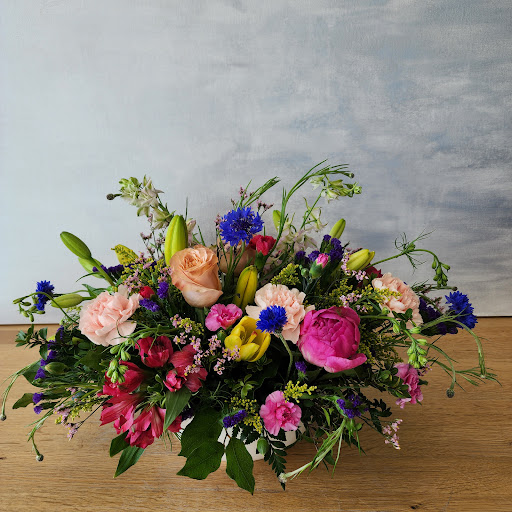 Klondyke Flowers - Thumbnail