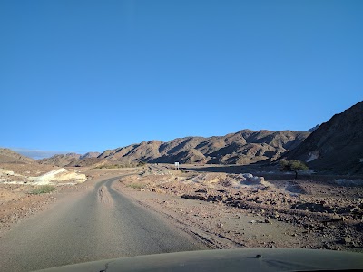 Photos of بئر زور