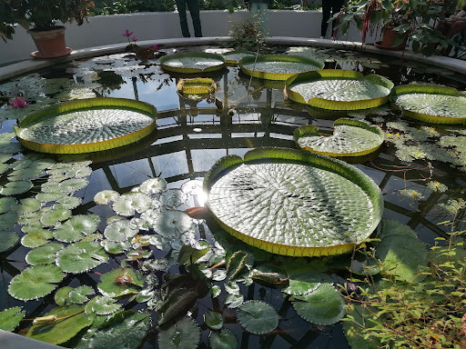 Giessen Botanical Garden Gallery - Germany