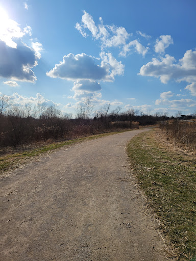 Messenger Marsh - Visual