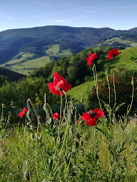 Photo n°5 de Le Chamont Eco Retraite à Sainte-Croix-aux-Mines (Centre de yoga)