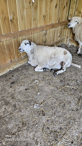 Piccolo farms animal sanctuary extension Gallery - United States