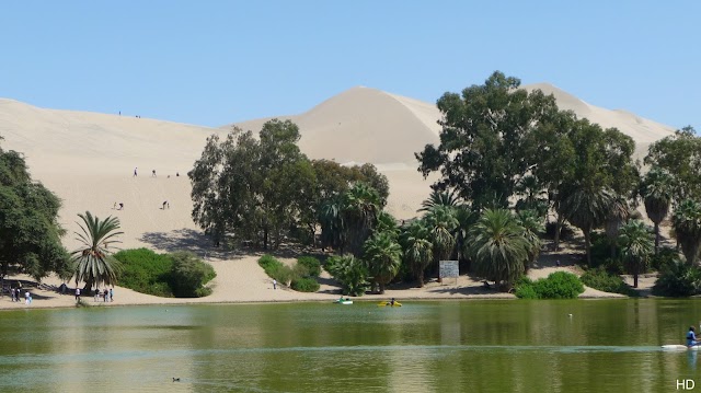 Laguna Huacachina