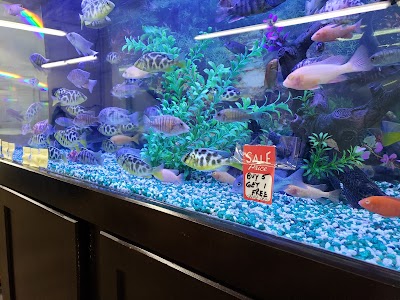 Global Aquatics Tropical Fish & Pet Supplies