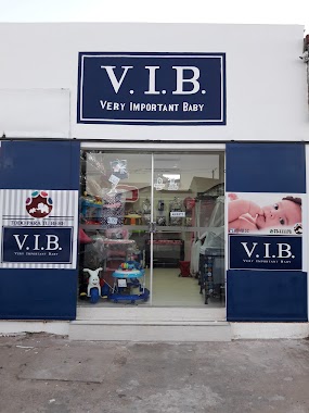 VIB - Very Important Baby, Author: Neidy Cespedes