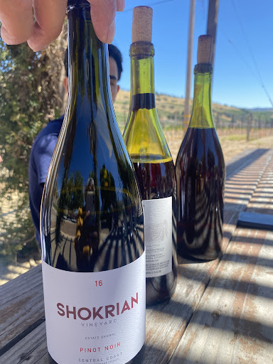 Shokrian Vineyard Gallery - United States