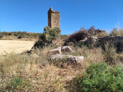 Torre Vega - Spain