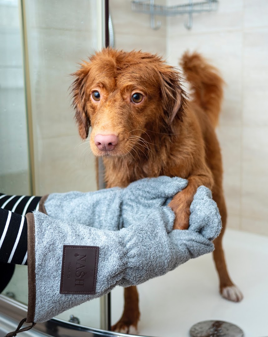 Just Shae’s Pet Care