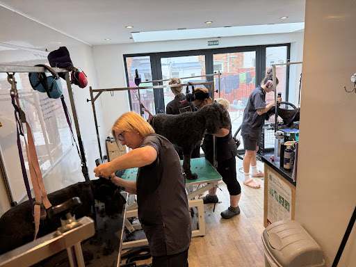 Smudgers Mutts Dog Grooming Ltd