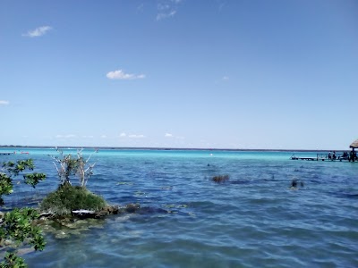 Photos of Xulha coco