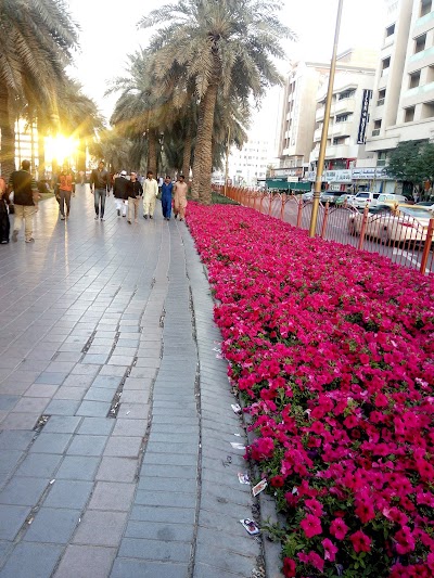 Photos of Muteena Park حديقة المطينة