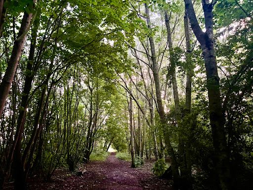 Footpath to Haunchwood Park Drive (N57) - Thumbnail