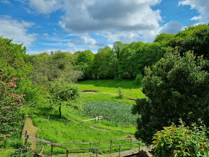 Photo n°8 de Les Terrasses de Chantarel à Rouillon (Chambre d'hôtes)