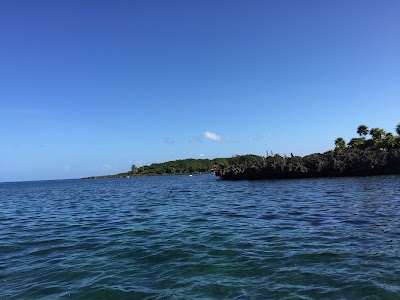 Photos of Quality Time Divers Concierge