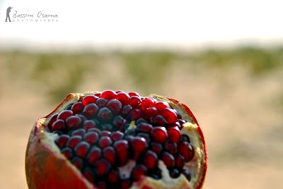 Photos of الانوار