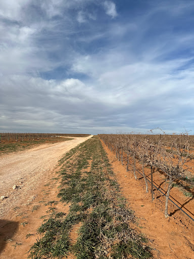 Reddy Vineyards - Thumbnail