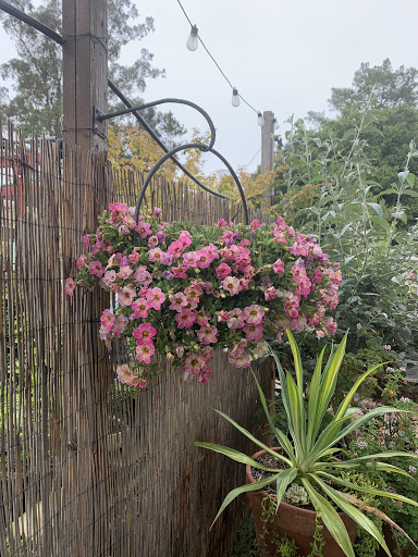 Iron Pony Plant Nursery & More - Thumbnail