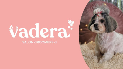 Salon Groomerski "VADERA" Fryzjer dla psów, kotów, królików Poznań - psy, koty, króliki