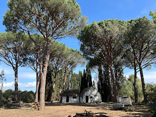 Photo n°3 de Bettinelli Elagage à Fontanès (Service d'élagage)