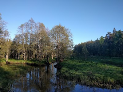 Photos of Paukj&auml;rve loodusrada