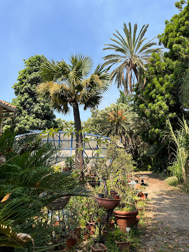 University Botanical Garden - Thumbnail