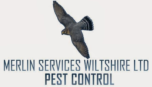 Merlin Services Ltd - Thumbnail