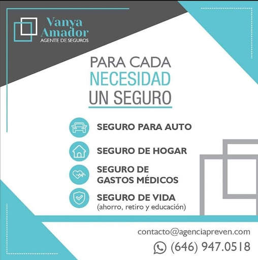 Vanya Amador - Agente de Seguros