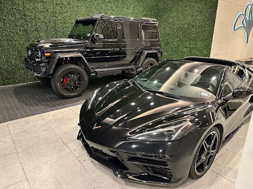 Optimum Exotics - Visual