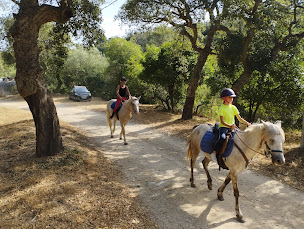 Photo n°2 de Les Chevauchées Catalanes/yeguada Yala à Argelès-sur-Mer (Centre équestre)