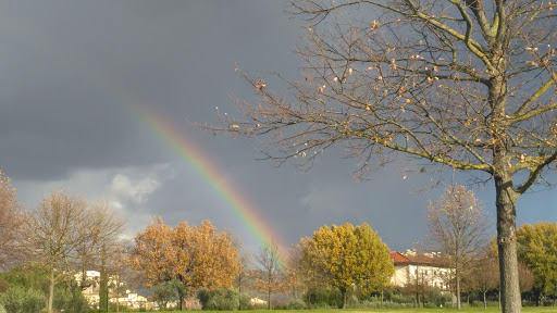 Parco urbano dell'Ambrogiana - Ovest - Thumbnail