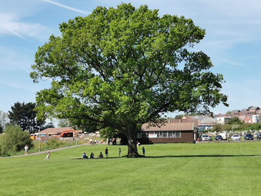 Cale Park - Visual