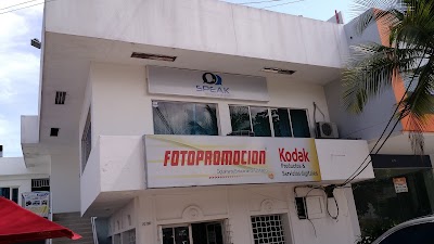 Photos of Speak Language Center