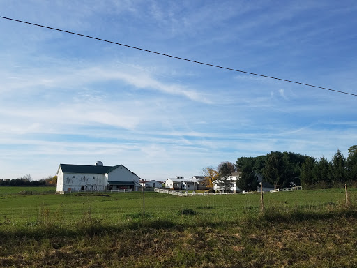 Raber Meats - Visual