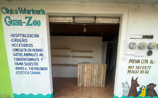 Clínica Veterinaria Guau zoo San Pablo etla
