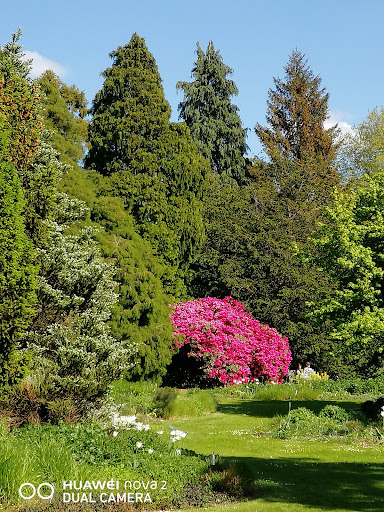 Arboretum Kalmthout - Thumbnail